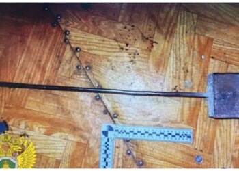 Избил кочергой и добил диваном — жителя НСО будут судить за жестокую расправу