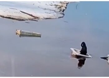 Ребёнок решил пересечь реку в Тюменской области… на ванне