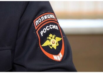 Трое пьяных новосибирцев избили полицейских резиновой палкой