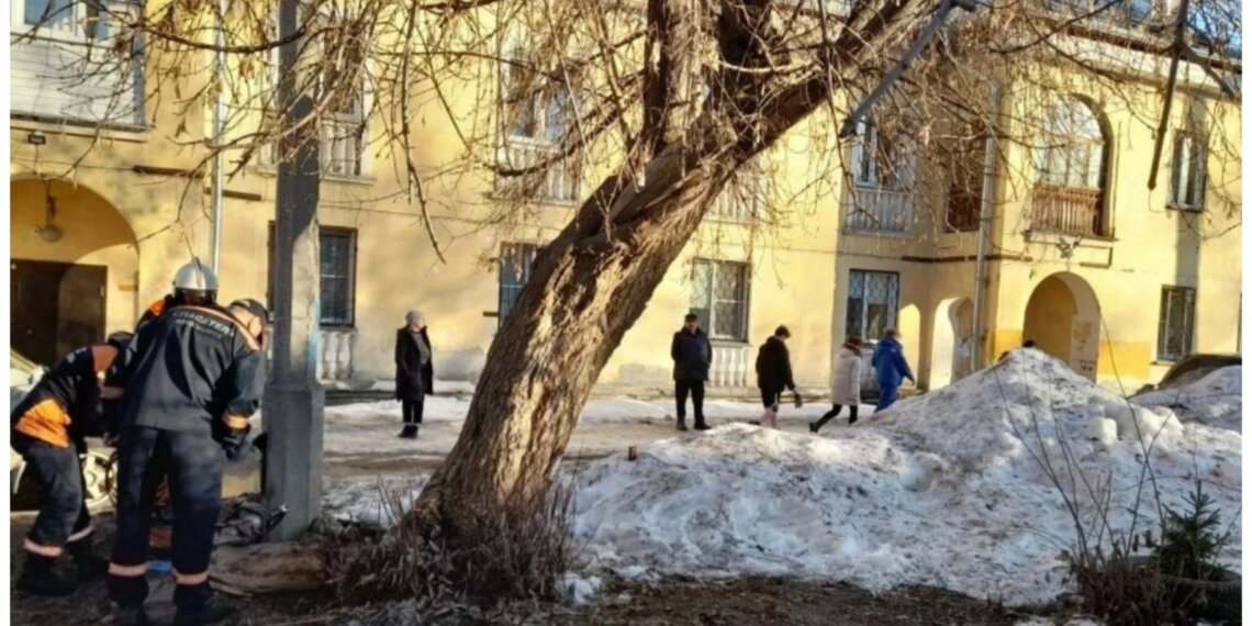 В Новосибирске девочка застряла на дереве во дворе и не смогла спуститься