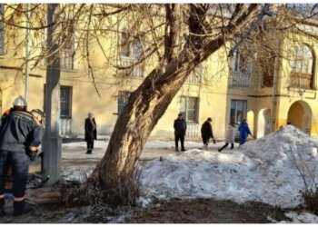 В Новосибирске девочка застряла на дереве во дворе и не смогла спуститься