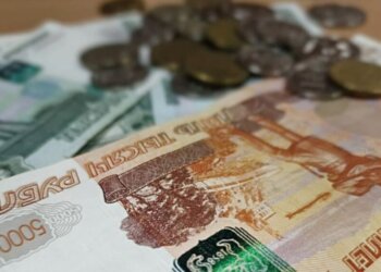 Почти 5 млрд рублей на льготных условиях взяли сибиряки в Сбере для получения образования