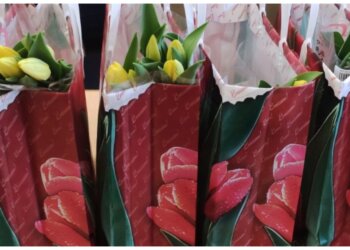 Новосибирец украл цветы для любимой и избежал наказания