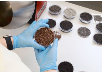 Новосибирские учёные создали гель, который ускоряет прорастание семян