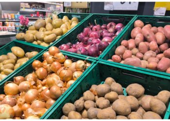 В Новосибирске сотрудницу торговой сети осудили за миллионные взятки за овощи и фрукты