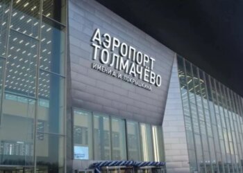 Новосибирец оставил рюкзак в аэропорту Толмачёво и соврал о бомбе