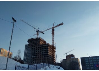 Площадку у «Золотой нивы» выставили на торги под КРТ за 153 млн рублей