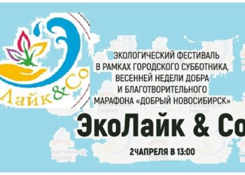 Новосибирцев зовут на экофестиваль с уборкой, музыкой и лотереей