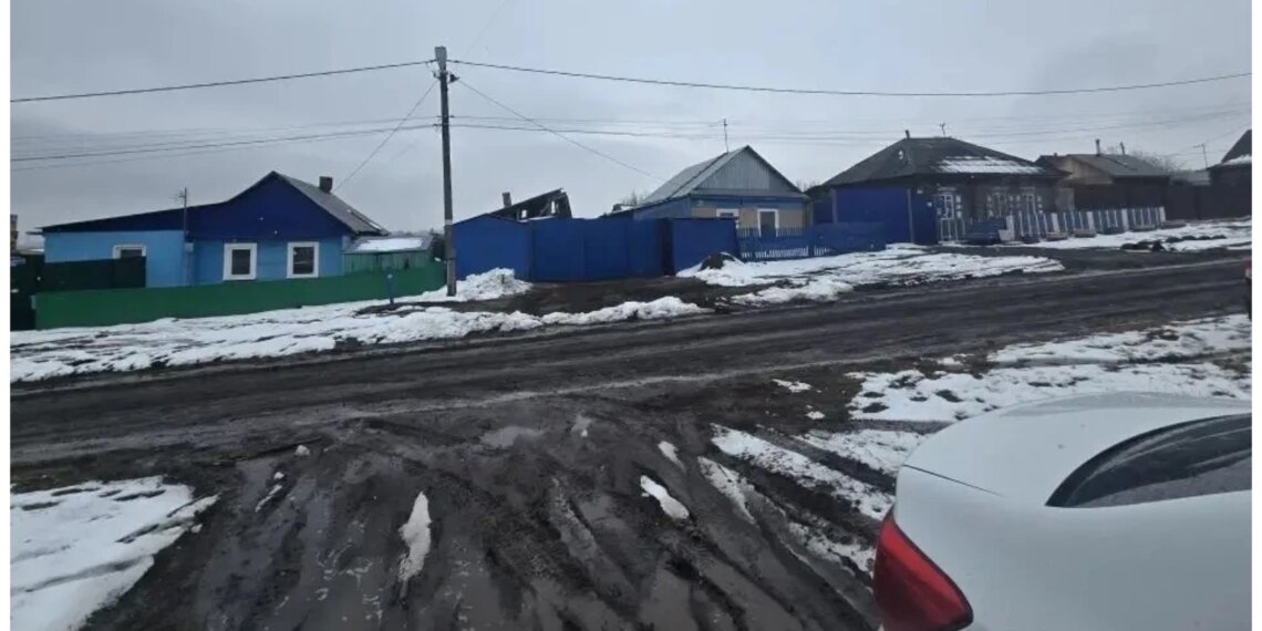 Домашний алабай вырвался из вольера и напал на прохожих в Красноярском крае