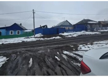 Домашний алабай вырвался из вольера и напал на прохожих в Красноярском крае