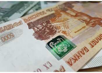 Жительницу Новосибирска отправили в колонию за аферу с займами на 16 миллионов рублей