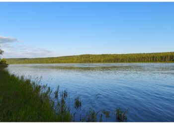 Учёные НГТУ придумали, как повысить мощность Новосибирской ГЭС с помощью поймы реки