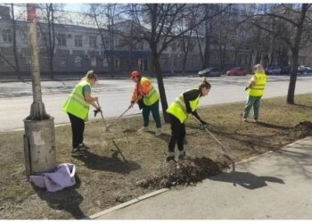 70 тысяч человек вышли на субботник в Новосибирске
