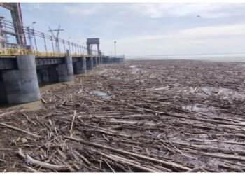 На Новосибирской ГЭС проведут сброс воды с пропуском древесины