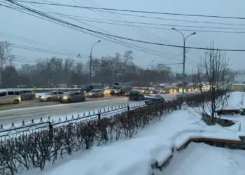 Банк России рассматривает снижение территориального коэффициента по ОСАГО в Новосибирской области