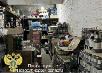 В Новосибирске до суда дошло дело о нелегальном обороте спиртного и табачных изделий