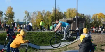 Куда сходить бесплатно в Новосибирске 25–26 апреля: эко-фест, комиксы, арт и животные