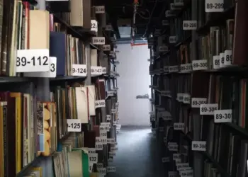 Кельтские эльфы, эпос «Манас» и диктант шрифтом Брайля: как пройдёт «Библионочь-2026» в Новосибирской области