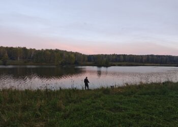 Никаких селфи с мишкой: новосибирцам объяснили, как выжить при встрече с косолапым