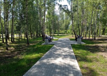 Новосибирцам вновь предлагают выбрать объекты благоустройства