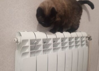 Девять квартир на Авиастроителей мёрзли из-за неправильных настроек отопления