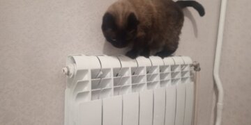 Девять квартир на Авиастроителей мёрзли из-за неправильных настроек отопления