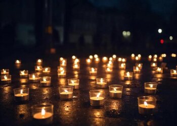 Мнения разделились: новосибирцы высказали более 100 идей благоустройства территории на Линейной,39