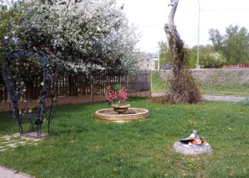 В Новосибирске увеличили максимальный размер грантов для ТОСов