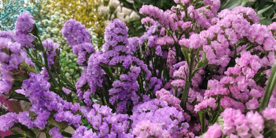 Стало известно, какие цветы высадят в парках Новосибирска ко Дню города