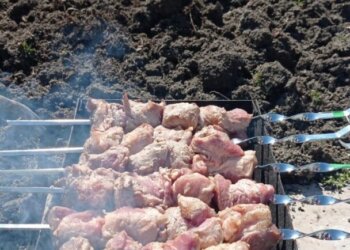 «Золотой» шашлычок: новосибирцам напомнили о штрафах за неправильное приготовление мяса