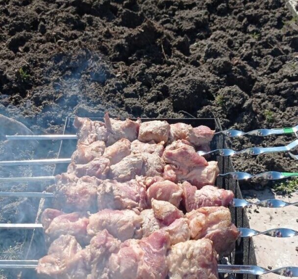 «Золотой» шашлычок: новосибирцам напомнили о штрафах за неправильное приготовление мяса