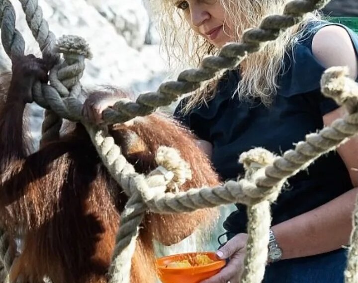 Высокая оценка труда: Президент наградил орденом замдиректора Новосибирского зоопарка