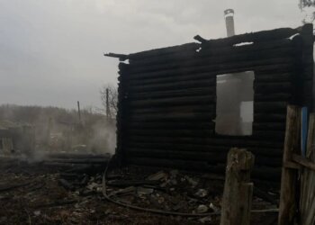 В НСО возбуждено дело о гибели матери и двоих детей на пожаре