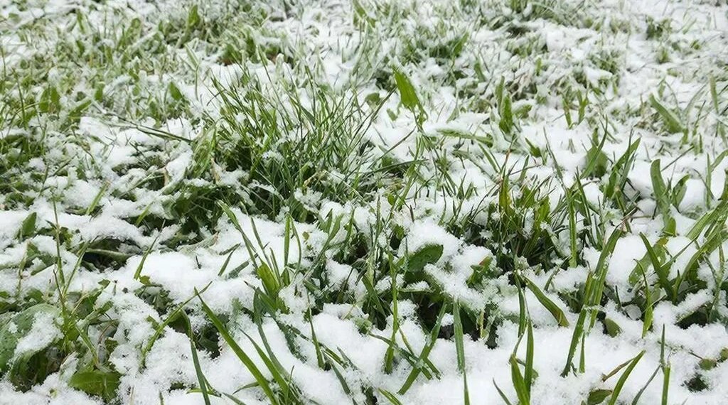 Снежный удар: новосибирцев предупредили о резком изменении погоды