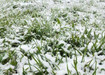 Снежный удар: новосибирцев предупредили о резком изменении погоды