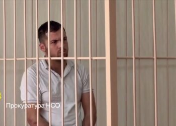 Убийство трёхлетней девочки в Новосибирске: подозреваемый заключён под стражу