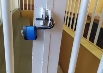 Две жительницы Краснообска и Элитного легализовали более 100 мигрантов через фиктивные документы