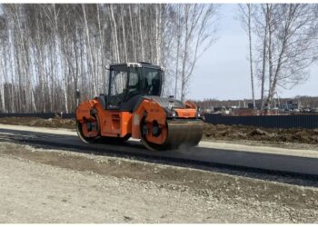 В Новосибирске приступили к дороге к микрорайону «Клюквенный»