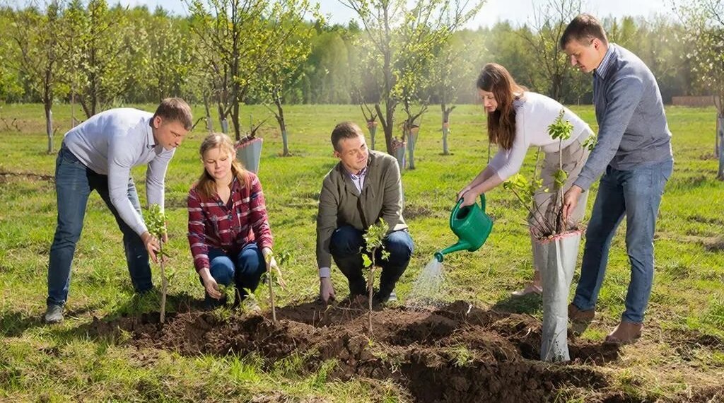 Войдём в «пятёрку»? Новосибирская область вновь поучаствует в международной экологической акции