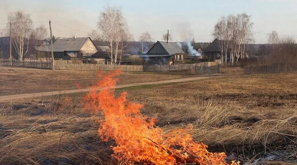 В Новосибирской области начался сезон лесных пожаров