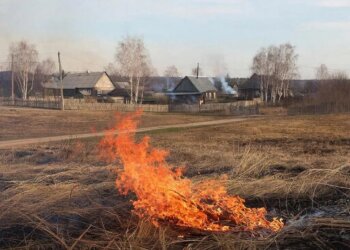 Спички в сторону: в Новосибирской области начался особый противопожарный режим