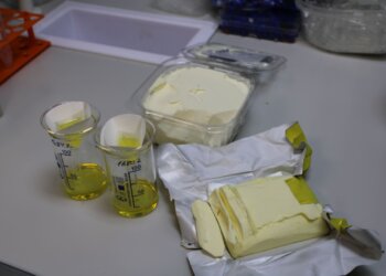 Новосибирское сливочное масло признали некачественным: в нём нашли растительные жиры