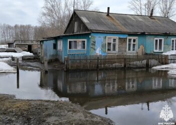 В Новосибирской области затопило 349 участков и 64 садовых дома