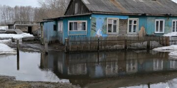 В Новосибирской области затопило 349 участков и 64 садовых дома
