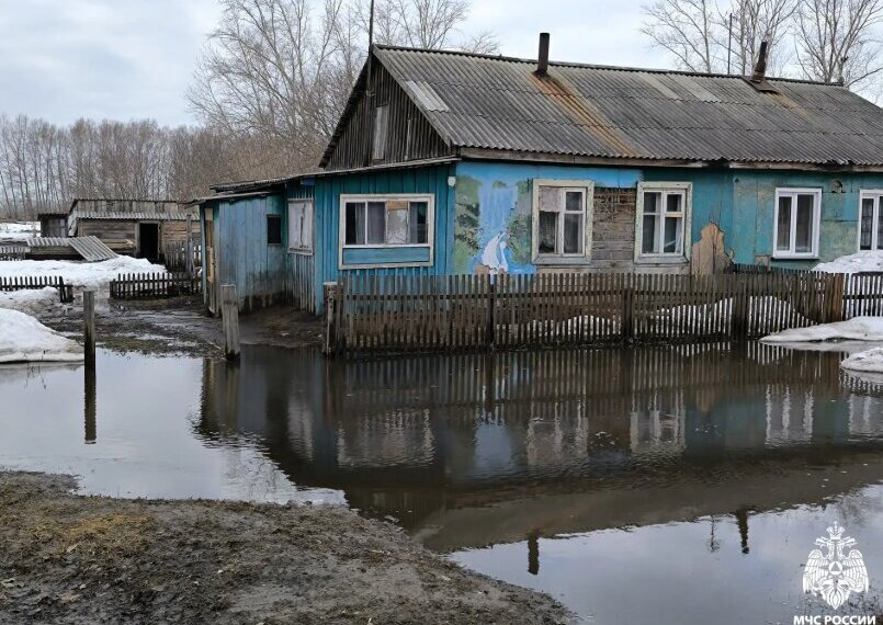 В Новосибирской области затопило 349 участков и 64 садовых дома