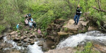 Непарадный Новосибирск начинается от старой урны: заметки и советы опытного гида
