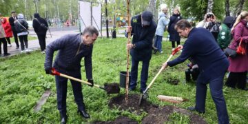В сквере Героев Донбасса высадили 45 крупномерных деревьев в рамках акции «Сад Памяти»