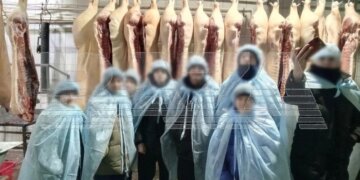 Сибирских школьников отвели на скотобойню и сделали памятное фото