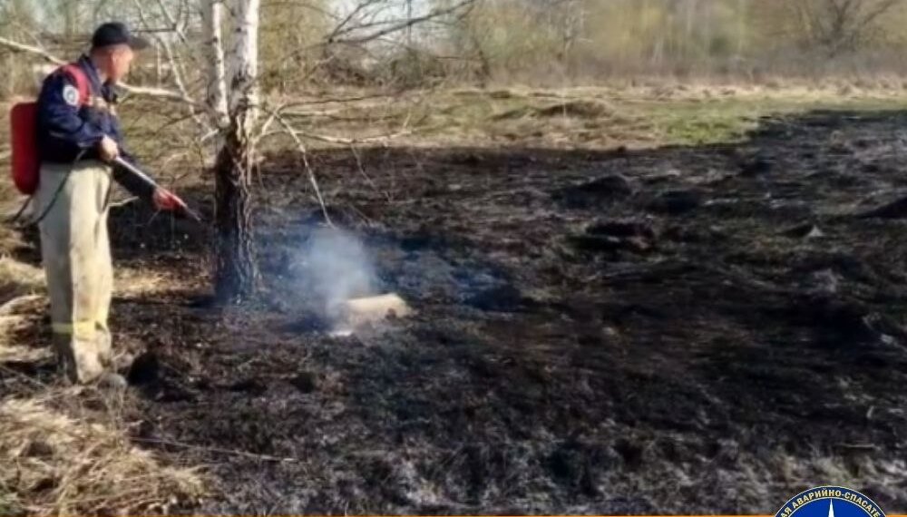 Ландшафтный пожар разгорелся в районе Ключ-Камышинского плато