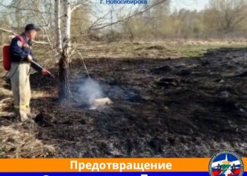 Ландшафтный пожар разгорелся в районе Ключ-Камышинского плато